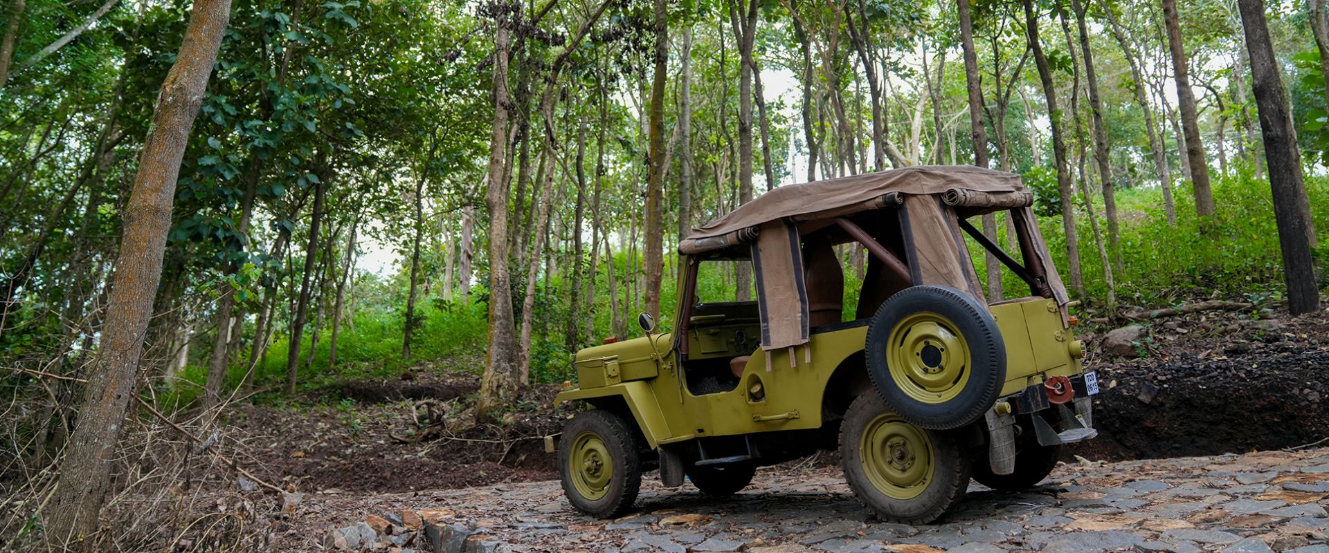 Blue Hill Lotus Sirumalai